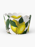 Blue and White China blue Willow Wrappers Positano Amalfi Coast Cupcake Wrappers